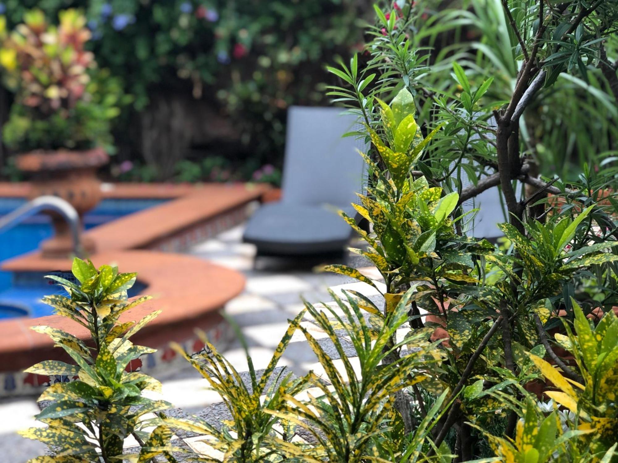 Casa Del Sol Inn Ajijic Eksteriør billede